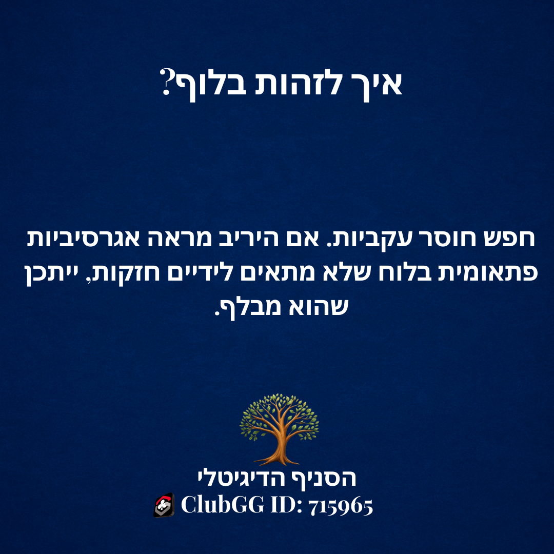 טיפ 4